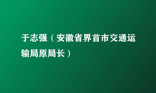 于志强（安徽省界首市交通运输局原局长）