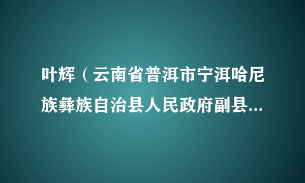 叶辉（云南省普洱市宁洱哈尼族彝族自治县人民政府副县长、公安局局长）
