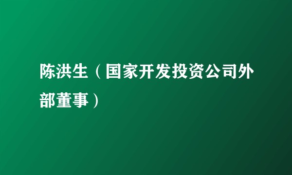 陈洪生（国家开发投资公司外部董事）