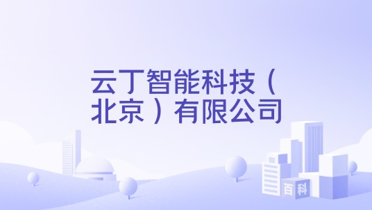 云丁智能科技（北京）有限公司