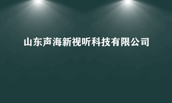 山东声海新视听科技有限公司