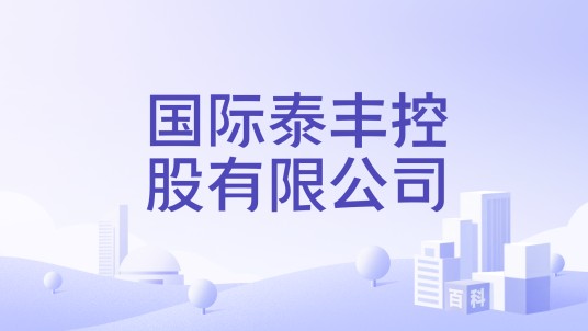 国际泰丰控股有限公司
