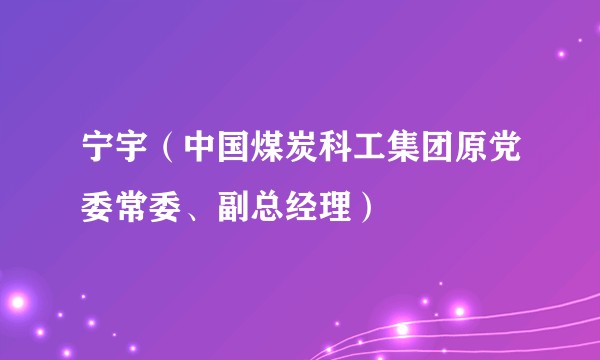 宁宇（中国煤炭科工集团原党委常委、副总经理）