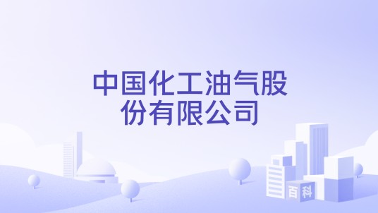 中国化工油气股份有限公司