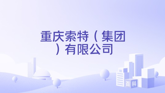 重庆索特（集团）有限公司