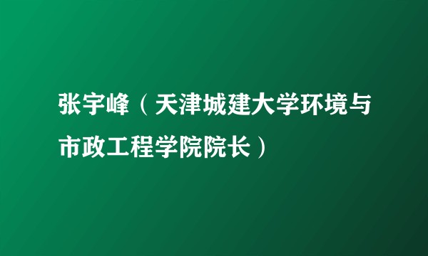 张宇峰（天津城建大学环境与市政工程学院院长）
