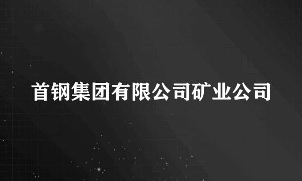 首钢集团有限公司矿业公司