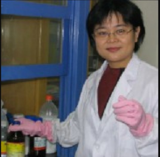 李洁(中南大学教授)