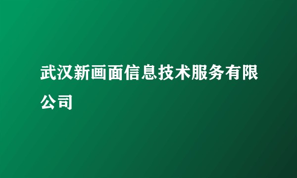 武汉新画面信息技术服务有限公司