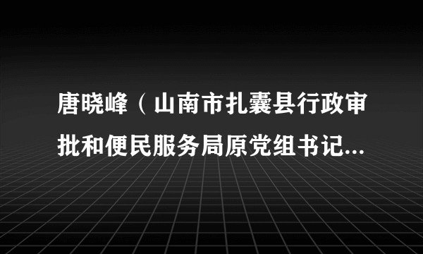 唐晓峰（山南市扎囊县行政审批和便民服务局原党组书记、局长）
