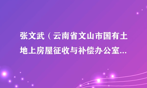 张文武（云南省文山市国有土地上房屋征收与补偿办公室副主任）