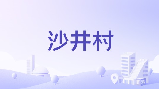 沙井村（河北省新乐市南大岳镇下辖村）
