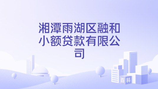 湘潭雨湖区融和小额贷款有限公司