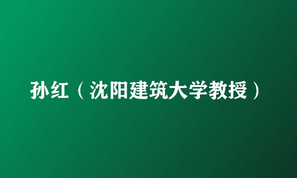 孙红（沈阳建筑大学教授）