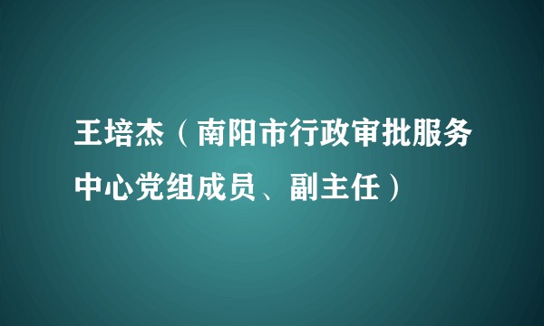 王培杰（南阳市行政审批服务中心党组成员、副主任）