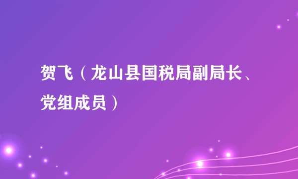 贺飞（龙山县国税局副局长、党组成员）