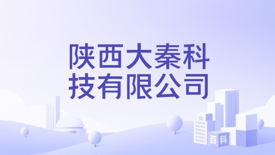 陕西大秦科技有限公司