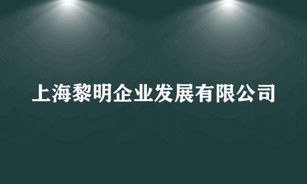 上海黎明企业发展有限公司