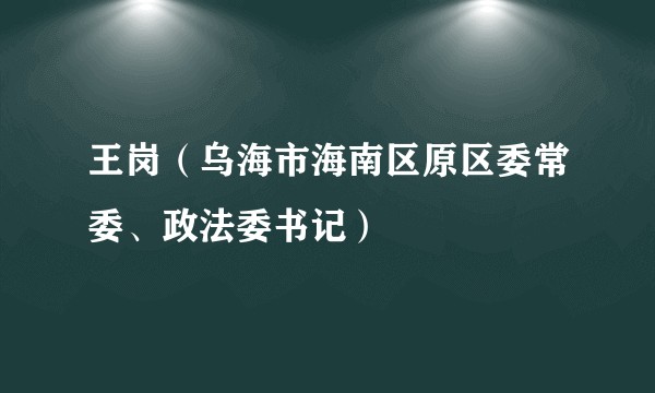 王岗(乌海市海南区原区委常委、政法委书记)