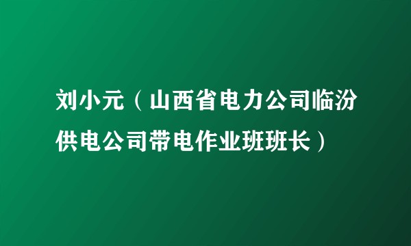 刘小元（山西省电力公司临汾供电公司带电作业班班长）