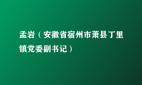 孟岩（安徽省宿州市萧县丁里镇党委副书记）