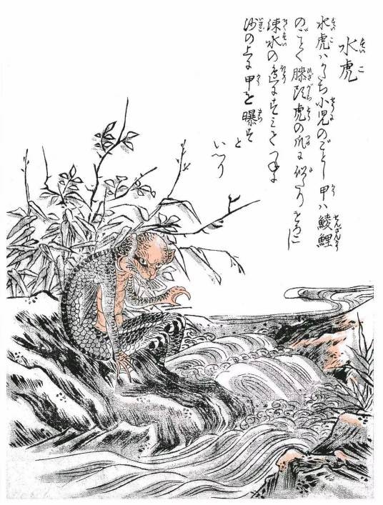 水虎（中国和日本传说中的妖怪）