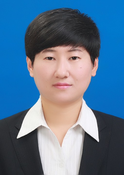 李佳佳（中国沈阳航空航天大学计算机学院教授、副院长）