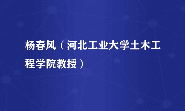 杨春风（河北工业大学土木工程学院教授）