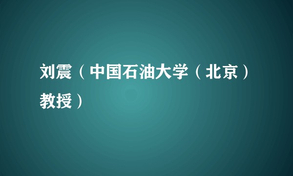 刘震（中国石油大学（北京）教授）