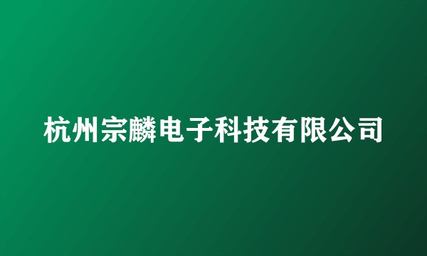 杭州宗麟电子科技有限公司