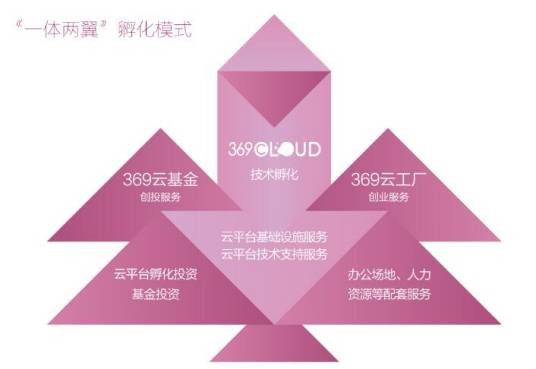 一体两翼（以技术孵化为主体、创业与资本服务为驱动的孵化模式）