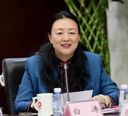 白涛（广东省建筑工程集团控股有限公司董事长）