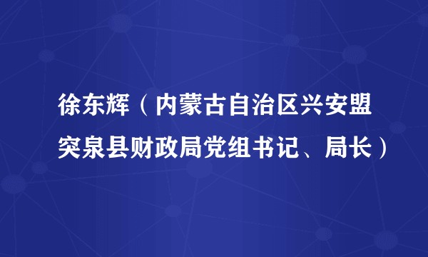 徐东辉(内蒙古自治区兴安盟突泉县财政局党组书记、局长)