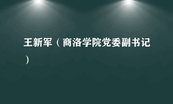 王新军（商洛学院党委副书记）