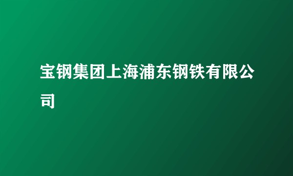 宝钢集团上海浦东钢铁有限公司