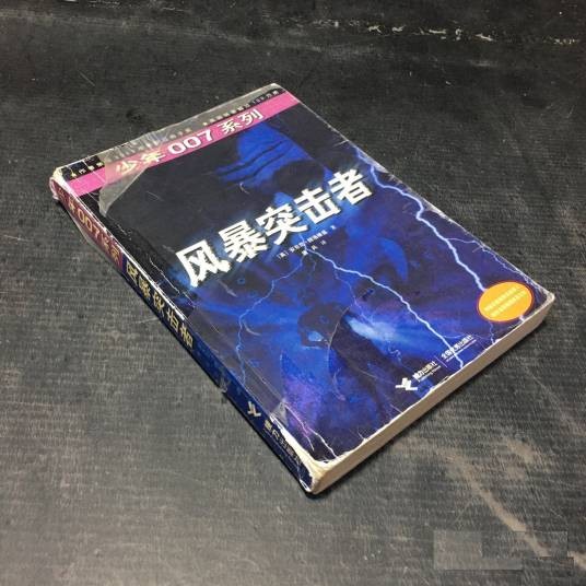 风暴突击者（2004年接力出版社出版的图书）