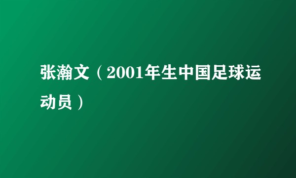 张瀚文(2001年生中国足球运动员)