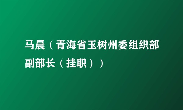 马晨（青海省玉树州委组织部副部长（挂职））