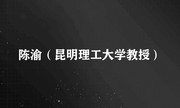 陈渝（昆明理工大学教授）