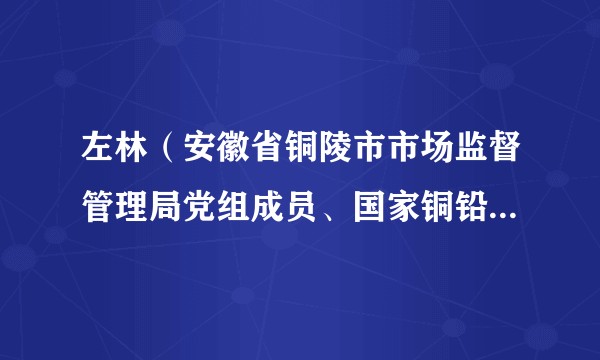 左林（安徽省铜陵市市场监督管理局党组成员、国家铜铅锌及制品质量检验检测中心主任）