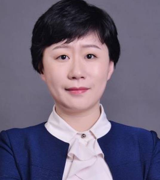 李小路（中国北京航空航天大学教授）