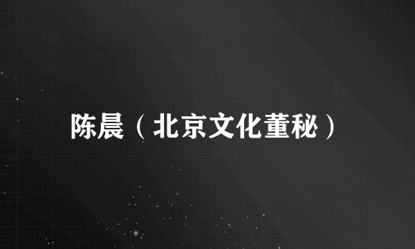 陈晨（北京文化董秘）