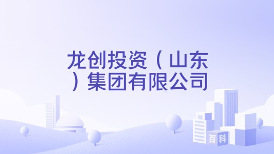 龙创投资（山东）集团有限公司