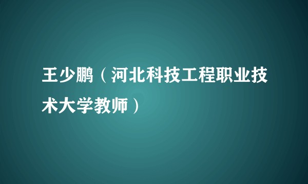 王少鹏(河北科技工程职业技术大学教师)