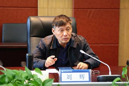 刘辉(中国交通建设股份有限公司独立非执行董事)