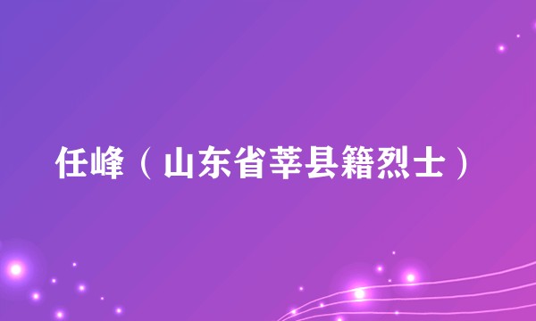 任峰（山东省莘县籍烈士）