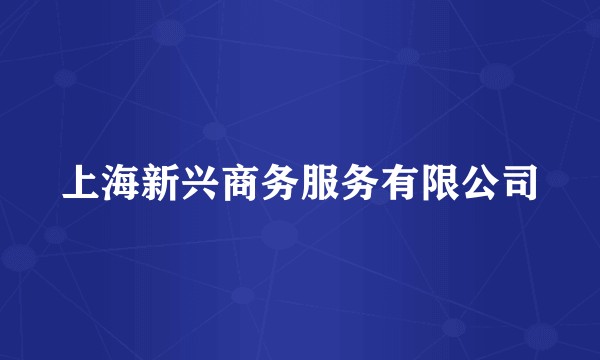 上海新兴商务服务有限公司