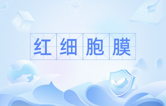 红细胞膜