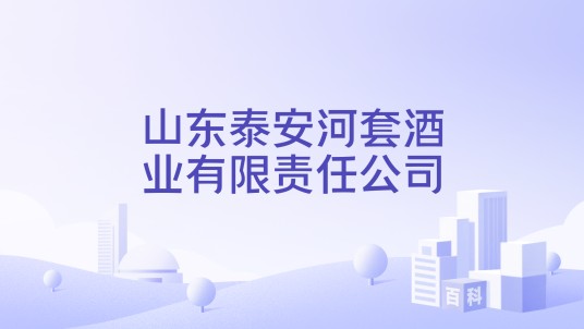 山东泰安河套酒业有限责任公司