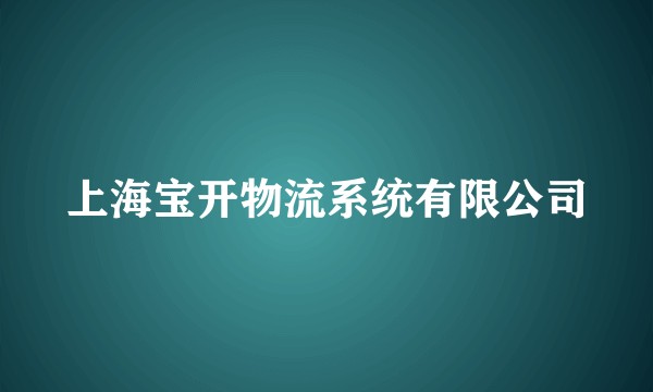 上海宝开物流系统有限公司
